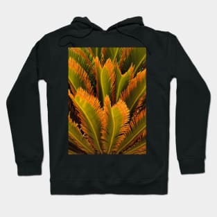 Palm Tree Leaves Hoodie